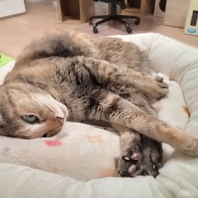 eO6hmlgZwQJJuin's profile picture. 趣味は懸賞
Twitterとハガキと両方してます
お小遣いが寂しいので、切手代も辛い

オリジナル切手を景品にした懸賞無いかな？