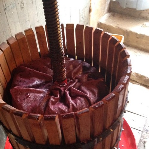 Mitchell171's profile picture. Winemaker working on filing for a permit, life long flx wine lover!