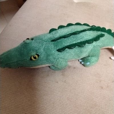 mori_darumaOT's profile picture. 作業療法士/就労支援/まちづくり/家族支援/社会的処方に興味あり/HageDaruma/ばあちゃんっ子