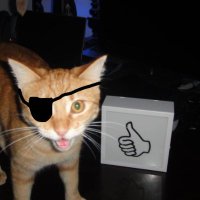 D_N_F_R_Lives (@d_n_f_r_lives) 's Twitter Profile