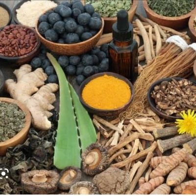 Spicedoctor1173's profile picture. A Muslima, Kano netizen.