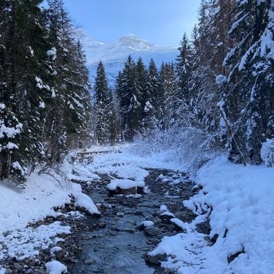 delph_gj's profile picture. 