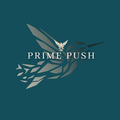 Twitter profile picture for @PrimePush