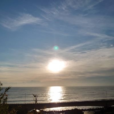 lAP7T7L0DPj42te's profile picture. 記録と勉強のための日記。

日々のこと🐦
ハートは共感.応援です。