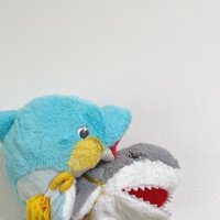 Rio (@m_w1013_ky) 's Twitter Profile