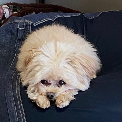 rbx2lv8tvvq's profile picture. 