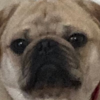 Editor for @SpillingMilkTV
I also make Azur Lane videos at https://t.co/KxlYhcMv8I