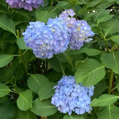 乃木坂46ファンです
最近は忙しくラジオ等あまり聞けておらずです
今後はメールも送りますのでぜひとも仲良くしてください
#乃木坂46ANN