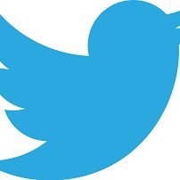 coffeecontent11's profile picture. 