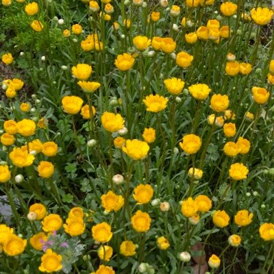 bg_swtyn7's profile picture. 菅田将暉好きな主婦です！ 無言フォロー失礼します🙏フォローして下さると嬉しいです😆