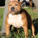 William Simpson - @wbsiv - Twitter