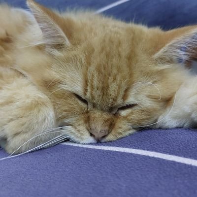 meandmyself_06's profile picture. KELUH KESAH IDUP
https://t.co/XfmWsn7N7x