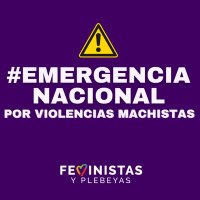 Feministas y Plebeyas 💜🐝(@FeministasCH_) 's Twitter Profile Photo