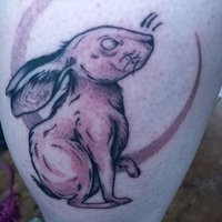 lou crane (@stephsmumlou) 's Twitter Profile