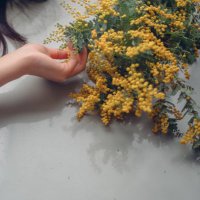 あん蜜 (@an__mitsumame) 's Twitter Profile