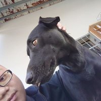 darthurb (@darthurb3) 's Twitter Profile