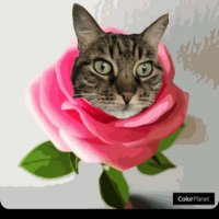 Chipa π§‘πͺπ»π¦π (@chipa_1957) 's Twitter Profile