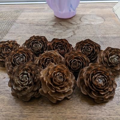 KYwlSUiZzBlec7R's profile picture. 