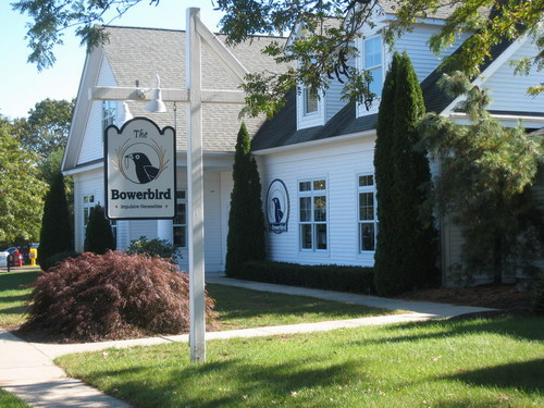 TheBowerbirdCT's profile picture. Best gift store in CT. The one stop shop full of impulsive neccessities™