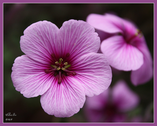 mitchell_kris10's profile picture. 