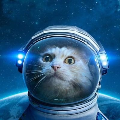 cocco0610's profile picture. 