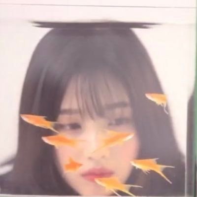 이랑さんのプロフィール画像