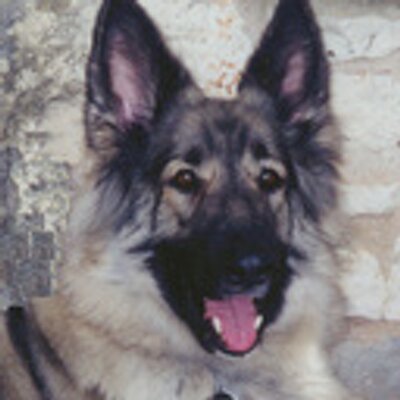 WeightWars1's profile image