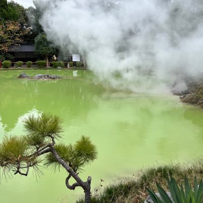 xm6ZlbP84wzJcAT's profile picture. 色々な場所に出没したいです！