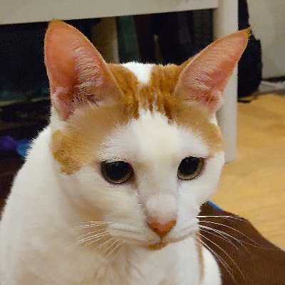 VQ34nDiK36bHIo3's profile picture. PEF5APF4