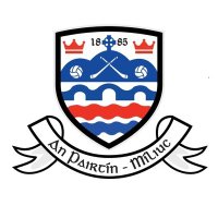 Parteen-Meelick GAA & Camogie Club(@GAAParteen) 's Twitter Profileg