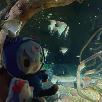 ミナヅキ🐰🍤🧣/8.20 🦝フェスさんのプロフィール画像