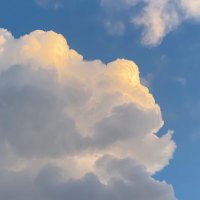 لعيونها بس🤍||صفاء القلوب (@p5xhznxj57) Twitter profile photo