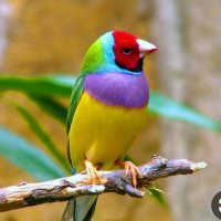 فتى الرومنسية (@nasrsalim15) Twitter profile photo