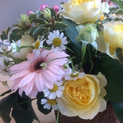 aka36646385's profile picture. 藤井風、山崎育三郎、沢田研二、Queen、YMO、SMAPは30年オタク💙💙、関ジャニ∞❤️、エレカシ、70〜80年代ROCK等々。歌舞伎、ミュージカル、エロイカ・ベルバラ世代のマンガから最近のまで。羅列するとただのミーハー。深掘りオタクなので好きな人周辺を掘りジャンルが広がっていくタイプ。