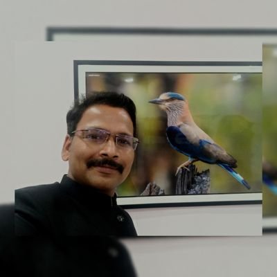 ajinkyabankar Profile Picture