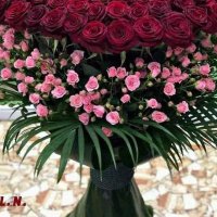 KIRKAĞAÇ LI AFRODİT (@afroditli) Twitter profile photo