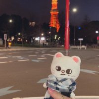 𝘬𝘢𝘰룬꙳ (@ka0_r1n) 's Twitter Profile