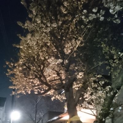 猪雨侍(ちょうじ)