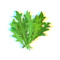 セルバチ子 (@kusa_salvatica) 's Twitter Profile