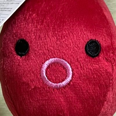 jipai_buppan's profile picture. 金融資産9000万円💲｜資産推移とお気持ち記録用🗒️｜ 30代前半👱‍♂️｜年間配当300万円（税前）🟡｜メインは本業👨‍💼｜配当をとるか成長性をとるか絶賛ブレブレ中！