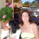 Donna Masanotti - @DonnaMas - Twitter