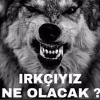 Veli Gunduz (@veligunduz5) Twitter profile photo