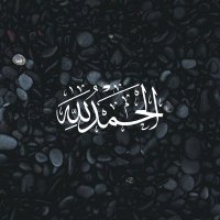 احمد م نور (@ahmed149111) 's Twitter Profile