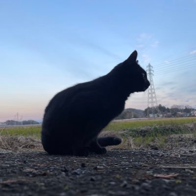 🔰かんぱん🍞さんのプロフィール画像