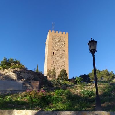 dafimed's profile picture. 