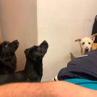 Omdaru (@omdaru72) 's Twitter Profile
