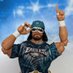 LonzWrestlingFigs (@lonzrasslinfigs) Twitter profile photo LonzWrestlingFigs (@lonzrasslinfigs) Twitter profile photo