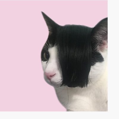 Katdaddy4000's profile picture. 