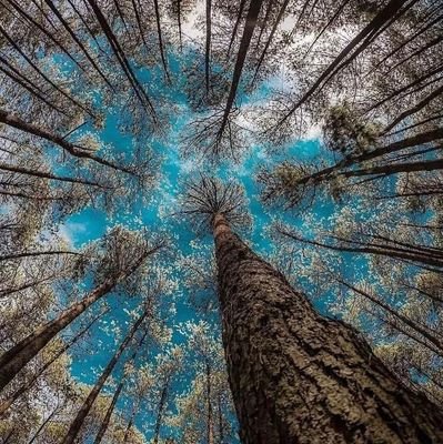 Eelah12's profile picture. ⛺ 
#camper4life