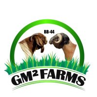 GM² Farms (@farmsgm2) 's Twitter Profile